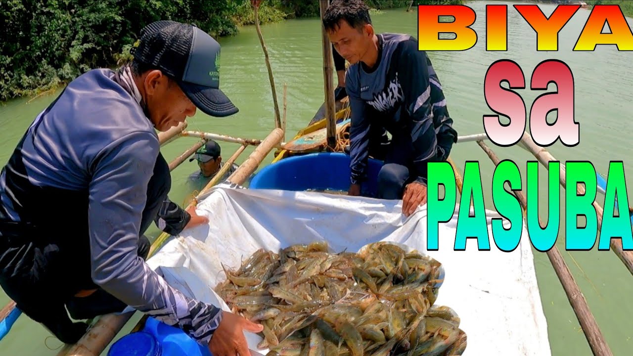 EP506:PART1-PANAHON NANAMAN NG MGA ISDANG BIYA