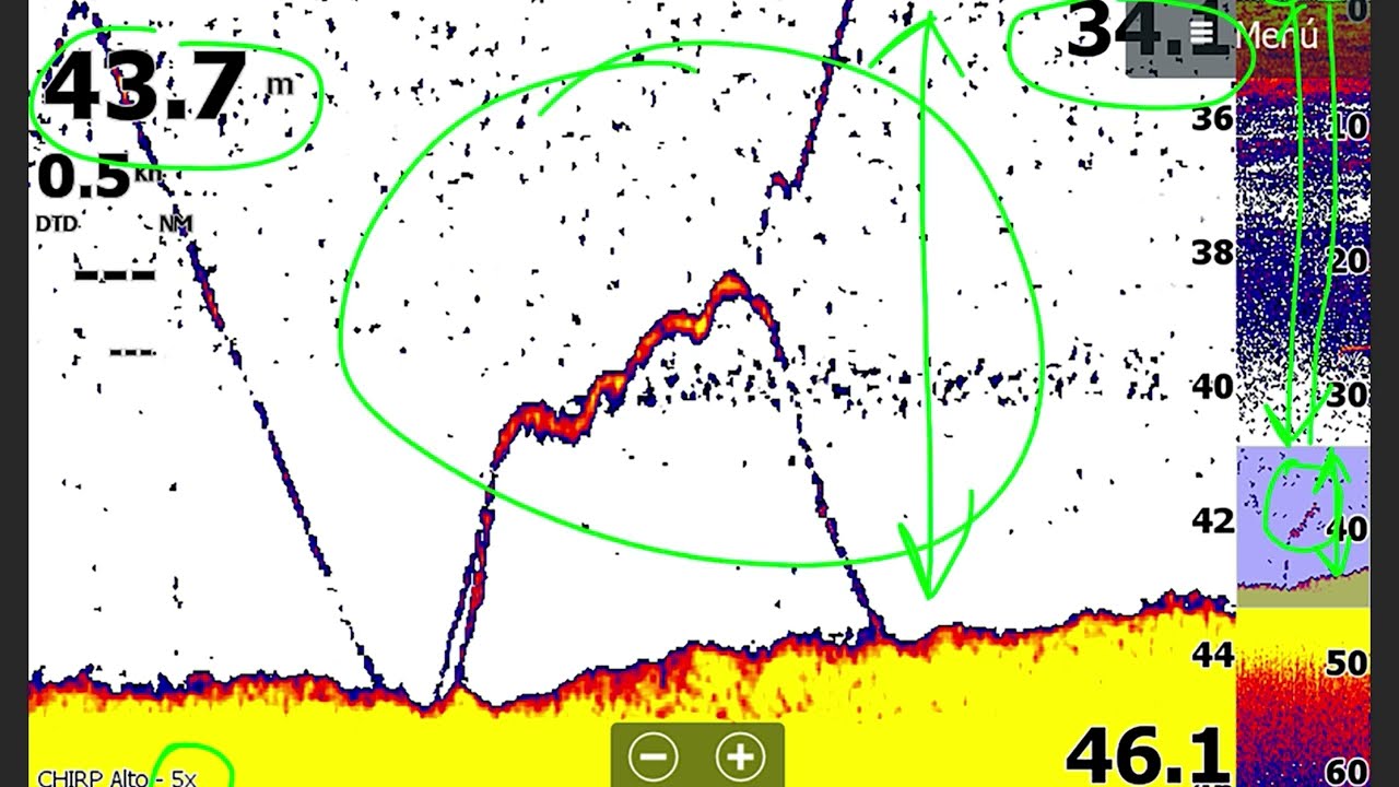 Sonda Lowrance & Captura de Pantalla 🚣‍♂️🎣💯