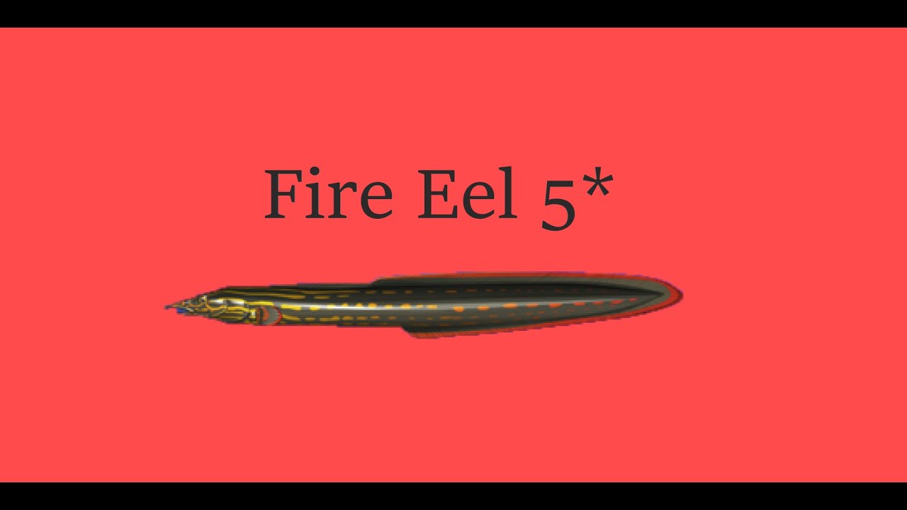 Fishao -5* Fire Eel