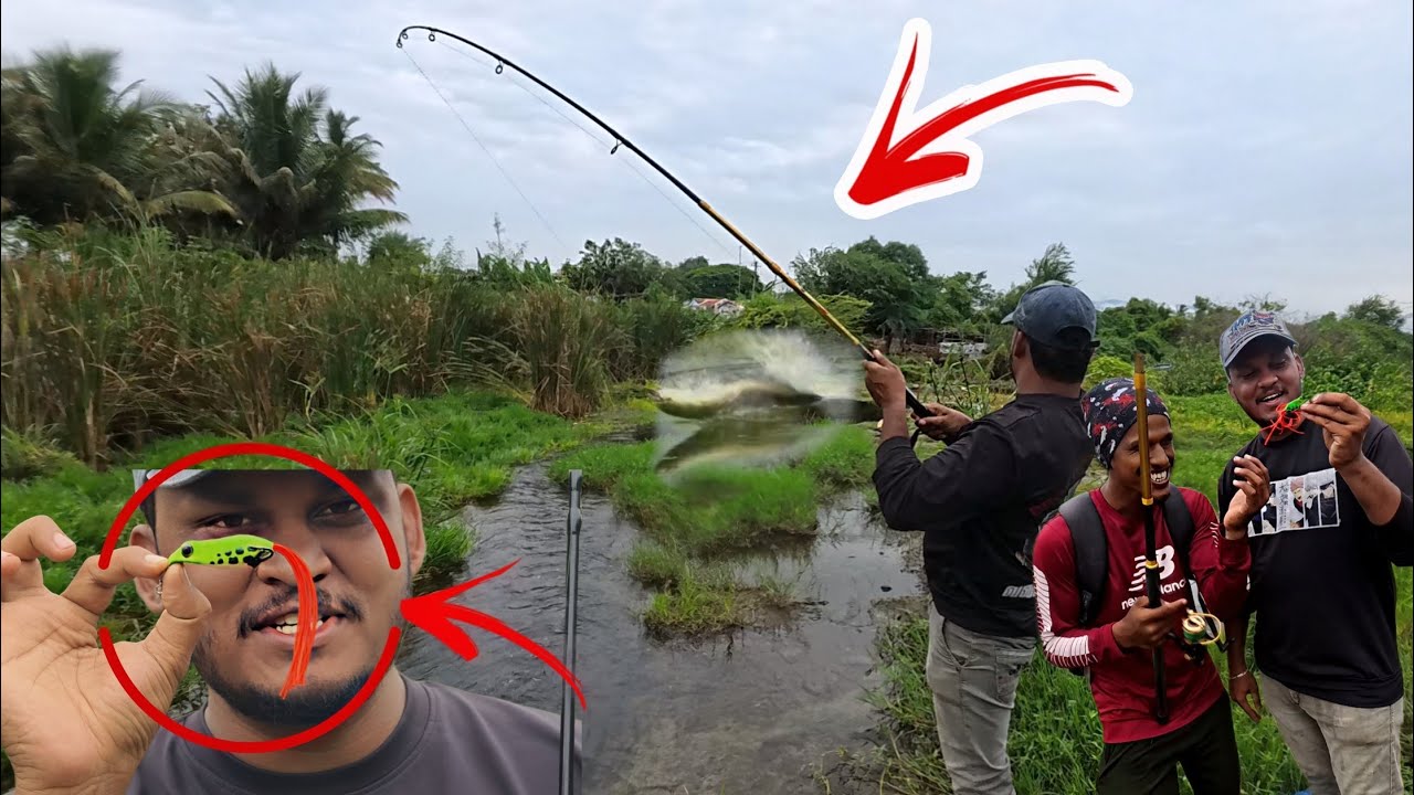 விரால் மீன் பிடிக்க சிறந்த தூண்டில் வாங்குவது எப்படி? | Best budget fishing rod and reel 