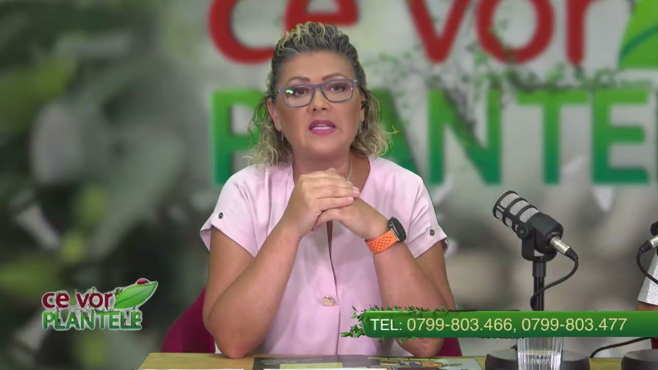Dezinfectarea solului din solar Cristina Ghibu si Horia Ghibu