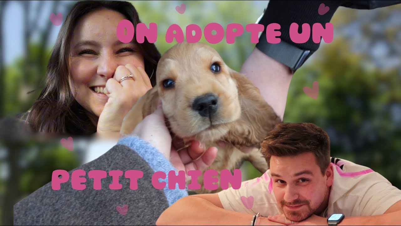 On adopte un petit chien !!