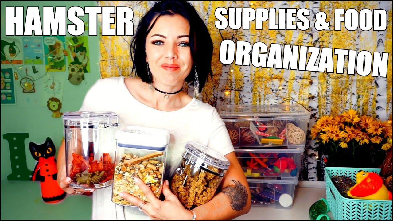 HAMSTER SUPPLIES & FOOD ORGANIZATION!