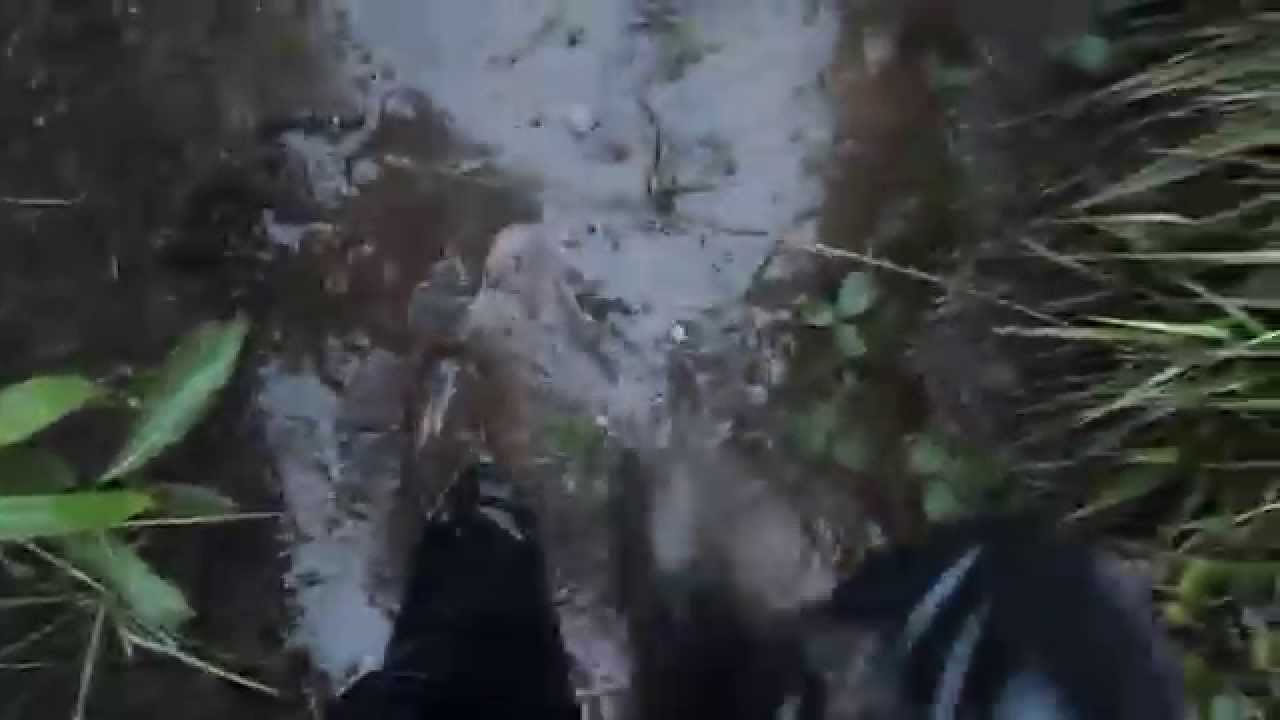 weillies in mud