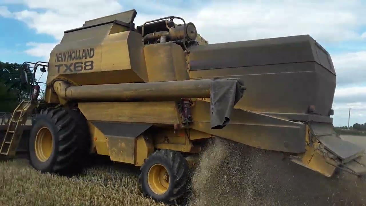 old  new Holland. tx68, combine  cutting wheat  in essex