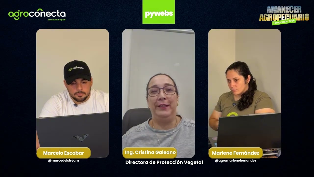 El SENAVE alerta sobre riesgo del virus rugoso del tomate y pide reforzar medidas sanitarias