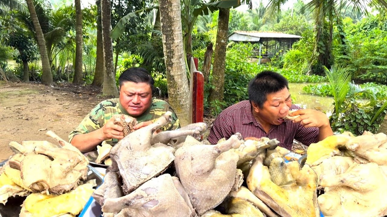Trận Đấu Kinh Khủng 5 KÝ GÀ VỊT LUỘC Thắng Được 3Tr Cái Kết Quá Thú Vị | ATN 