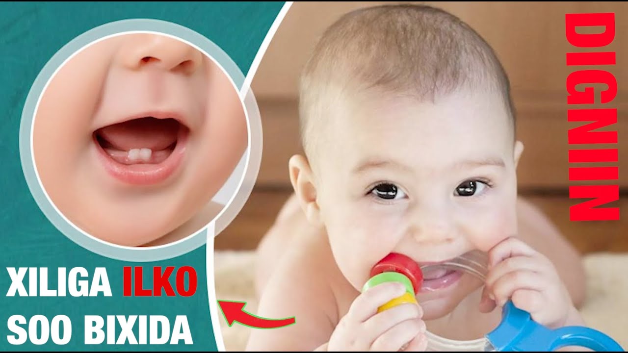 MAXAA LAGU GARTAA ILMAHA ILKAHA U SOO BIXI RABO?