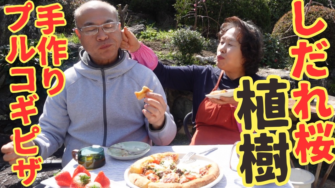 【今日のお昼ご飯】桜を植えた後は李さんのプルコギピザでお昼御飯です！