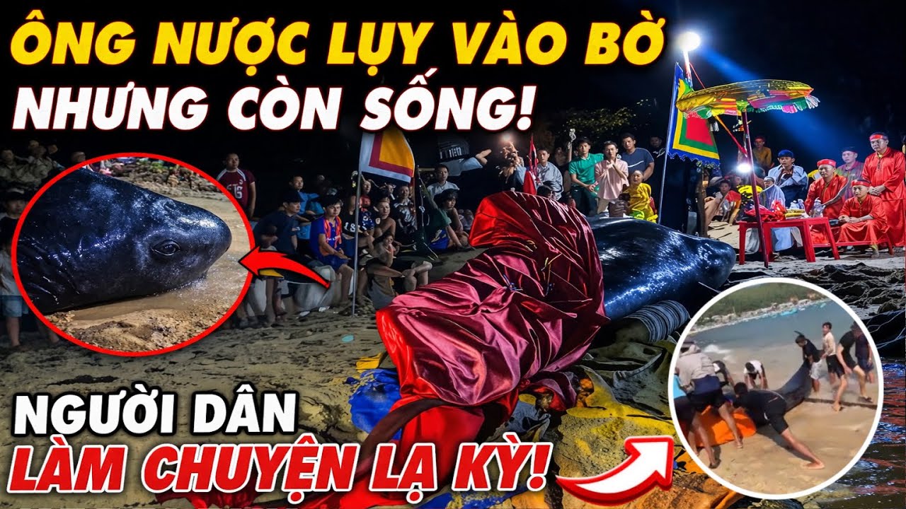 Chuyện lạ C&aacute; &Ocirc;ng tr&ocirc;i dạt v&agrave;o bờ nhưng chưa Luỵ(Mất)nhưng người d&acirc;n lại l&ocirc;i l&ecirc;n bờ bốc ch&aacute;y cần thơ