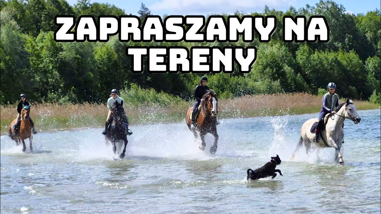 TEREN NAD JEZIORO / JEZIORO POWIDZKIE