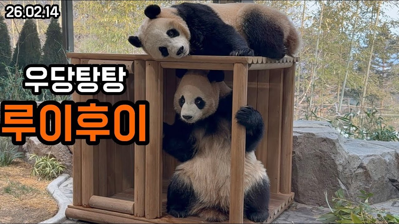 26.02.14 루이의 눈빛만봐도 상황을 알수있는ㅋㅋㅋ 티격과 꽁냥 그 사이😆🥰