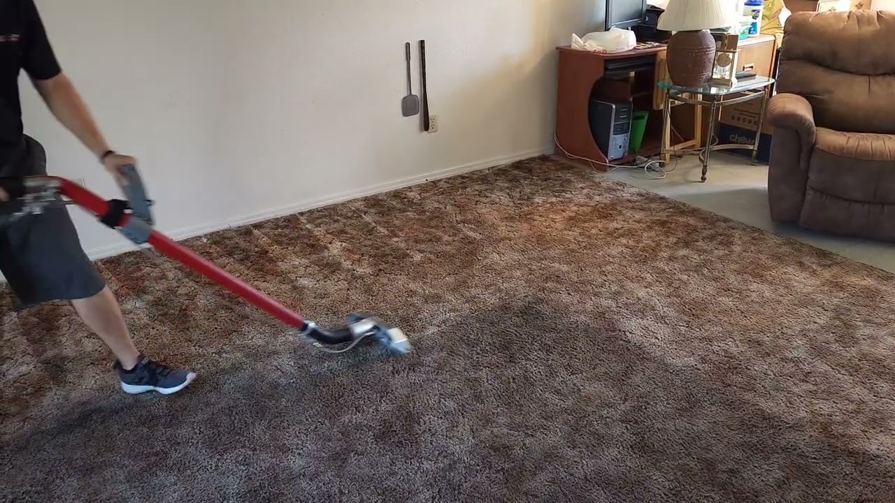 10 years of No Cleaning this carpet