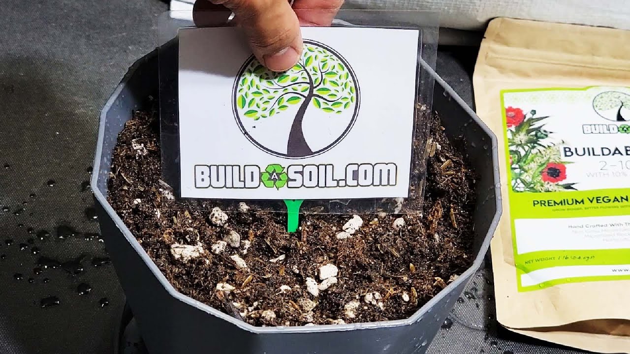 BuildASoil Lab Test & Review