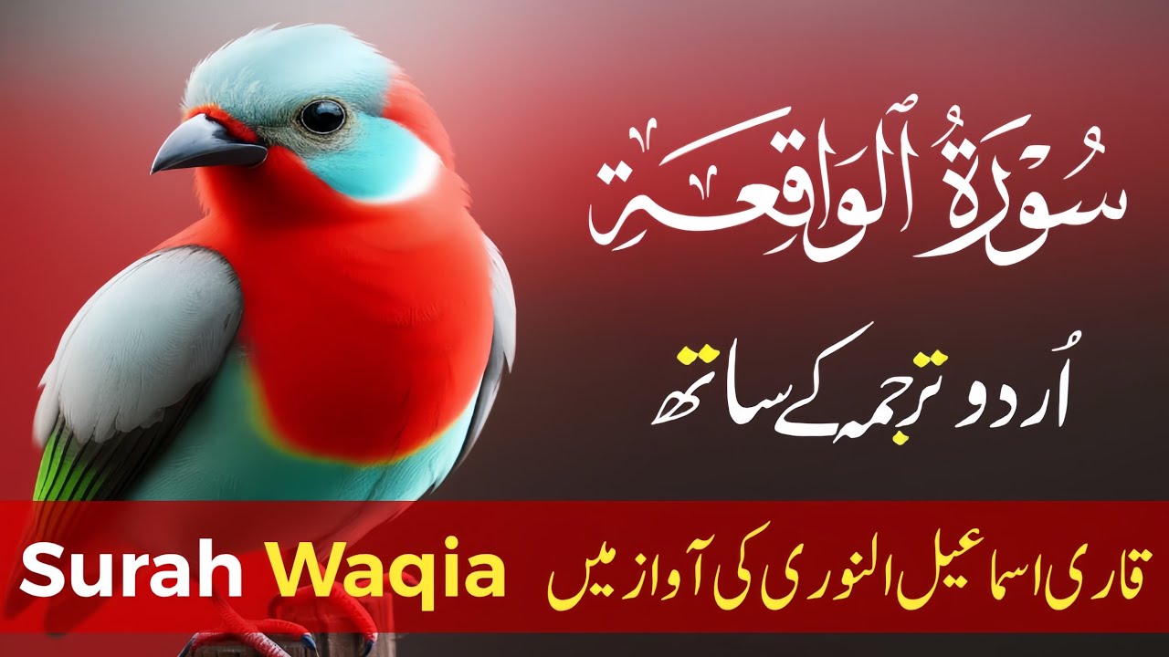 Surah Waqiah With Urdu Translation By Qari Ismail Annori | Urdu And Hindi Tarjuma Episode 187