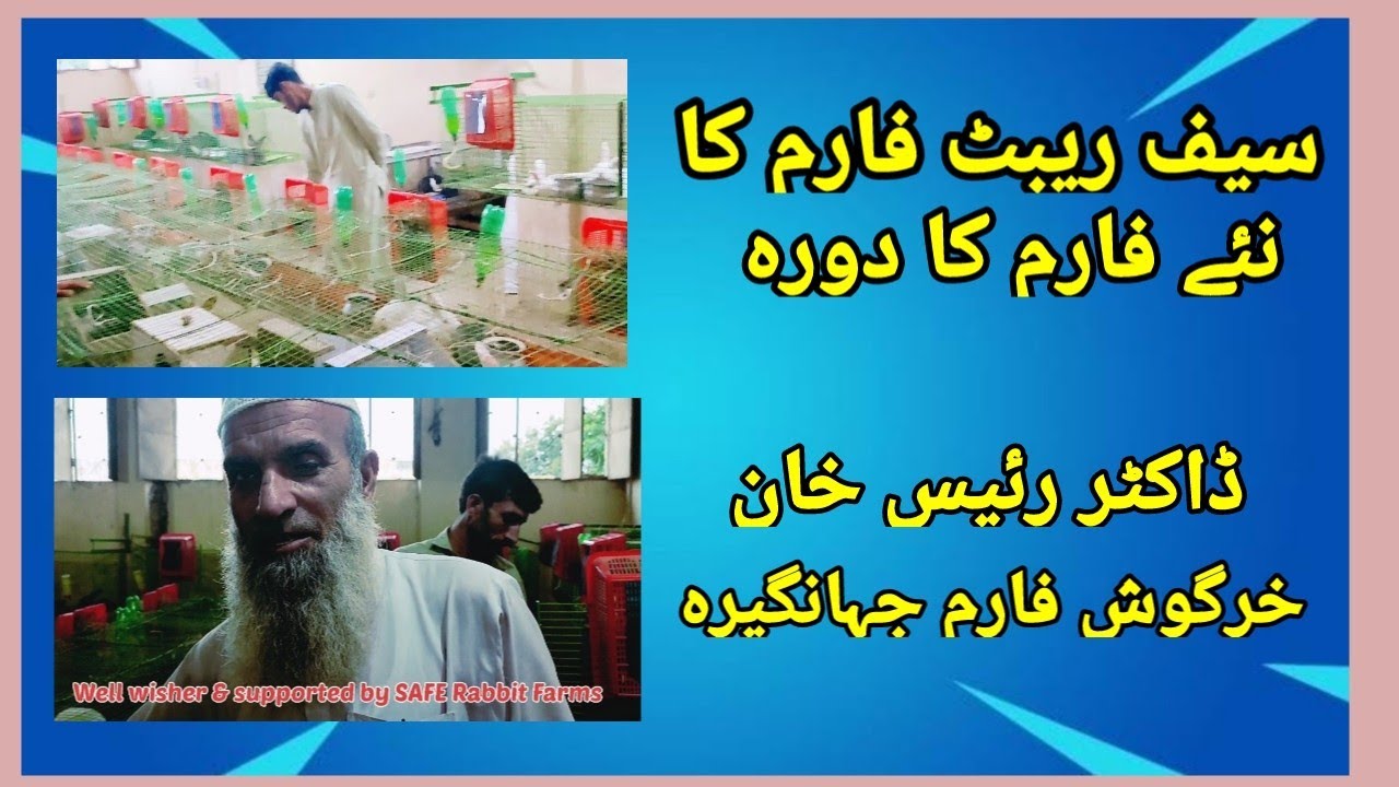SAFE Rabbit Farm visit to a newly developed farm// سیف ریبٹ فارم کا نئے کمرشل لیول فارم کا دورہ
