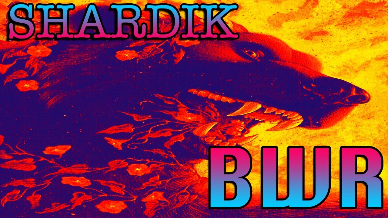 SHARDIK - What is the NATURE of Faith? | David Popovich
