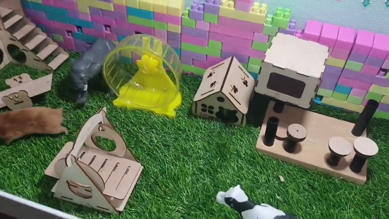 Hamster Playground Adventure 🐹 | Nonstop Fun All Day!