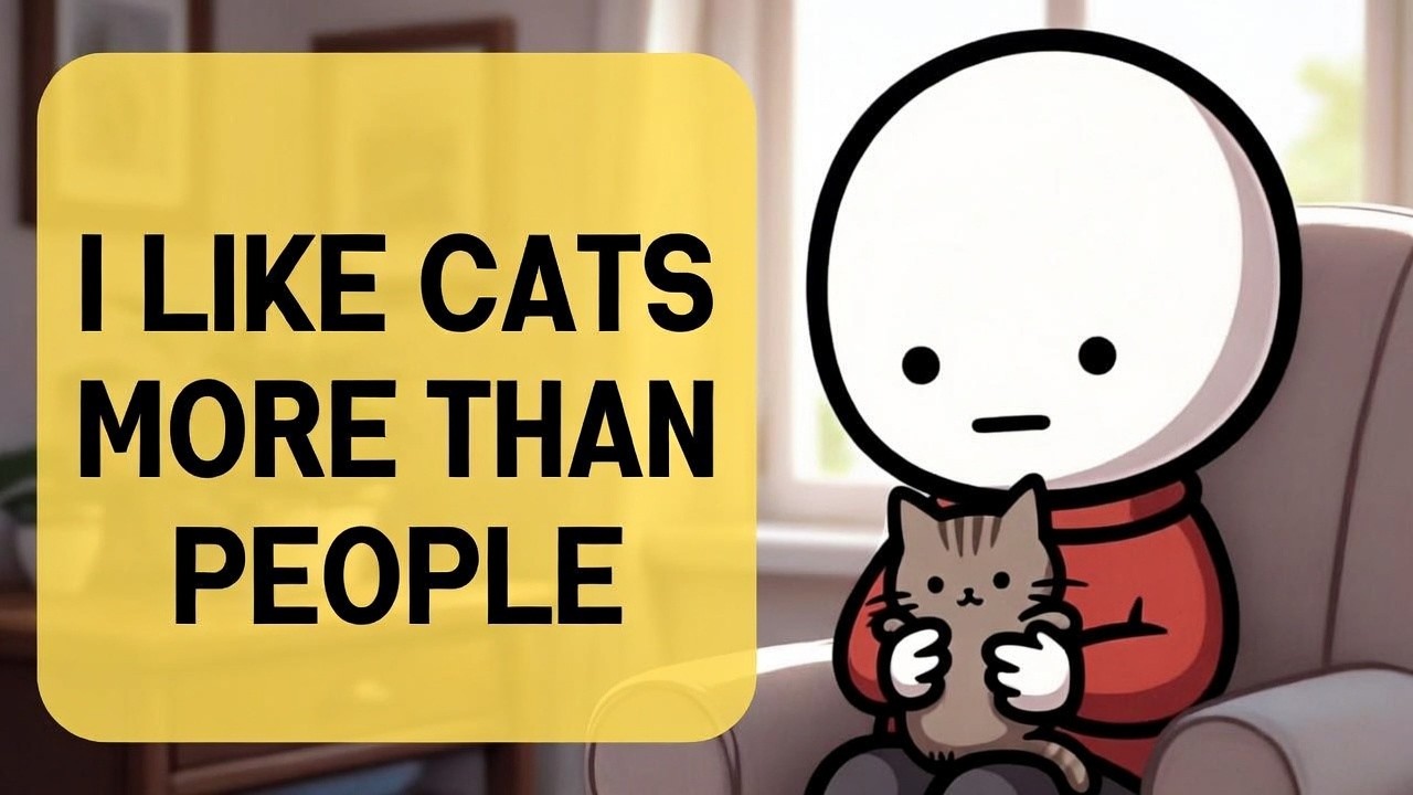 Why Cat Lovers Feel Safe
