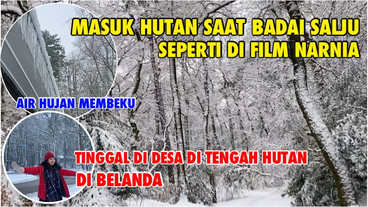 BADAI SALJU DI PEDESAAN  BELANDA | SEMUA PUTIH SEPERTI DI NEGERI DONGENG