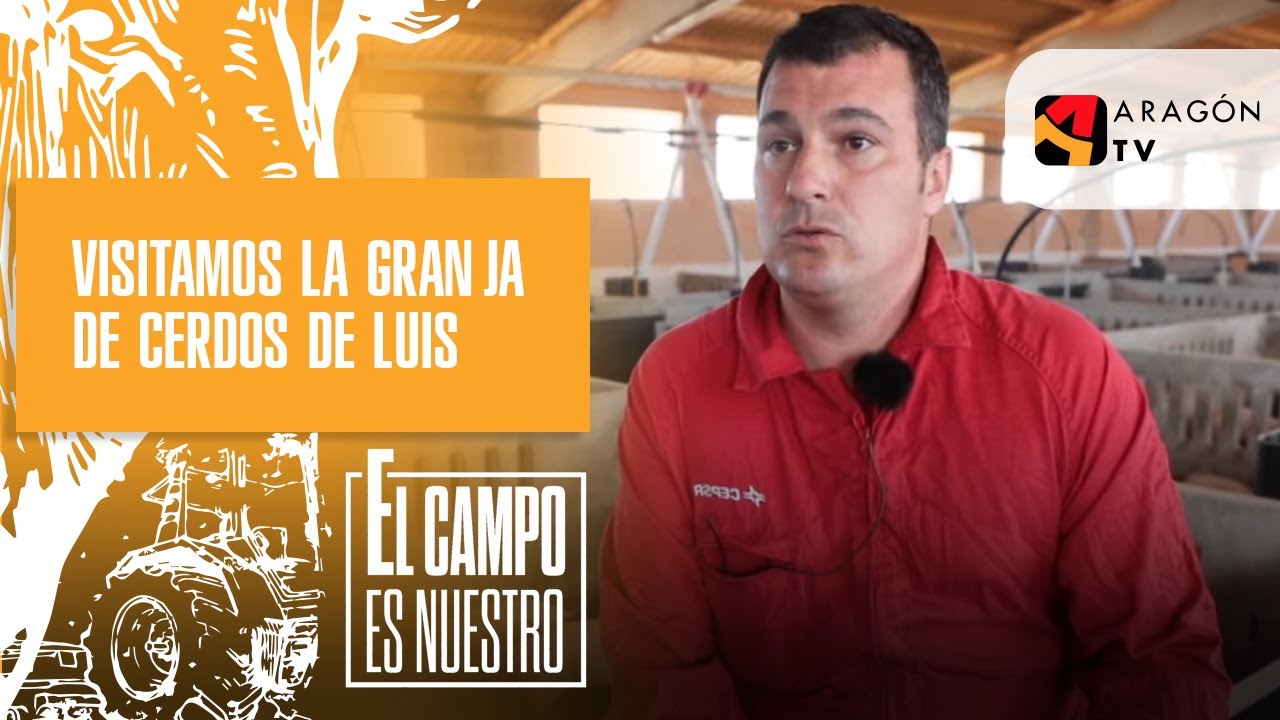 Visitamos la granja de cerdos de Luis
