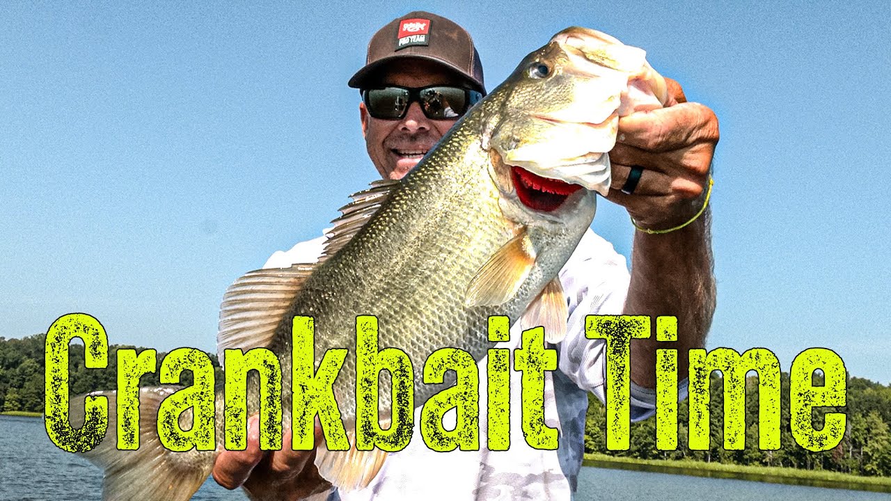 Crankbait with Castledine - #23 SouthEAST