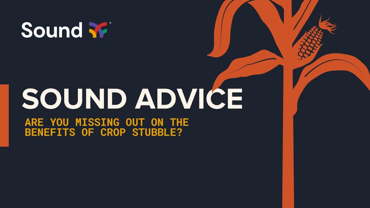Sound Advice: The Benefits of Crop Stubble You&rsquo;re Overlooking