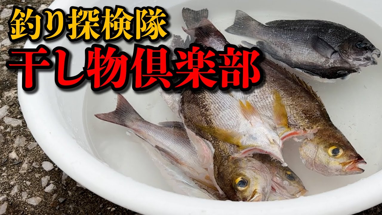 【干し物】猪熊博之、魚の一夜干し始めました！