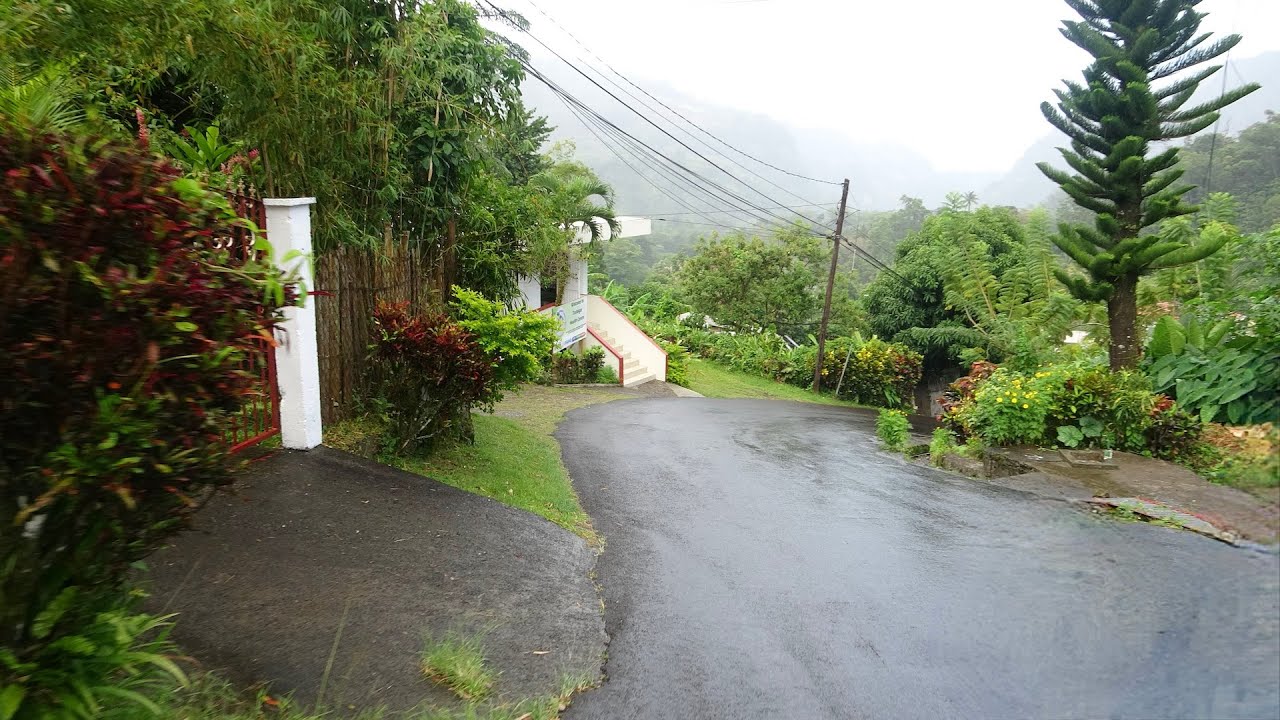 DOMINICA - Driving on the island.