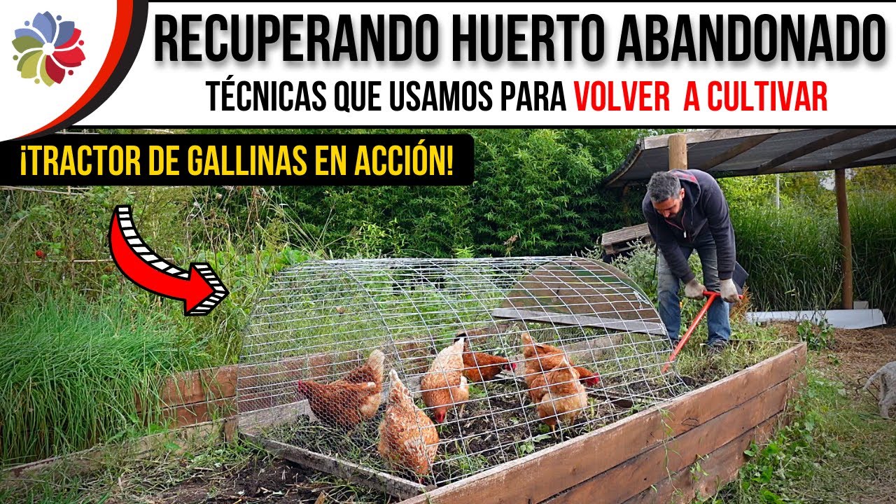 🌱 De vuelta al cultivo | Cómo revivir huertos y bancales abandonados para producir alimentos.