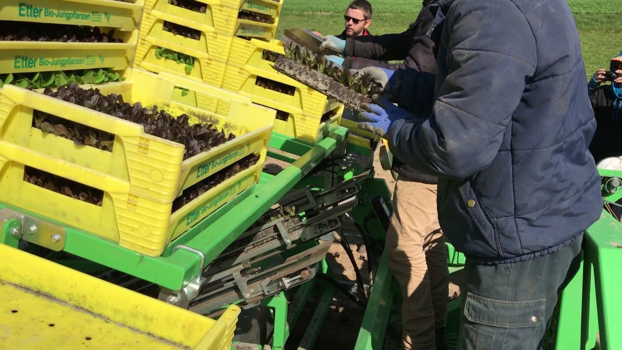 Soil Block Transplanter