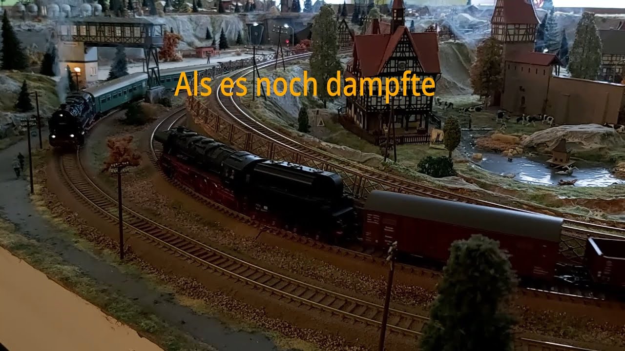 ROCO -DR -Als es noch dampfte BR.95 /BR 44/BR35 u mehr