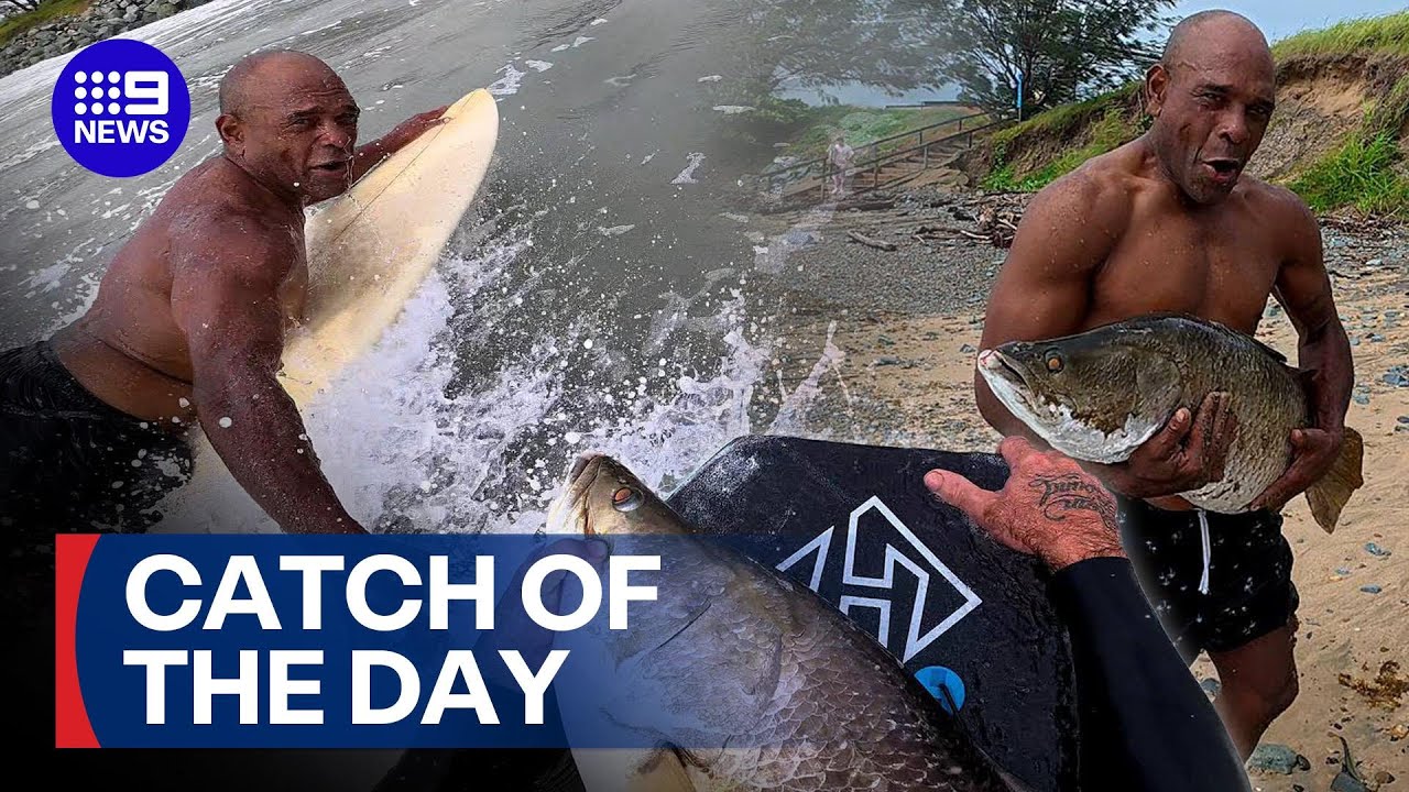 Surfer's accidental bare-handed barramundi catch | 9 News Australia