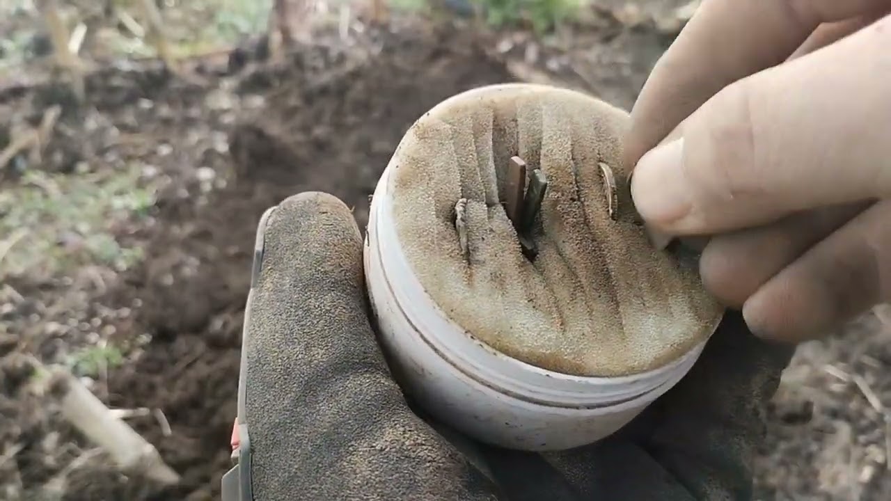 Sondeln Schatzsuche und Bodenfunde mit dem Metalldetektor