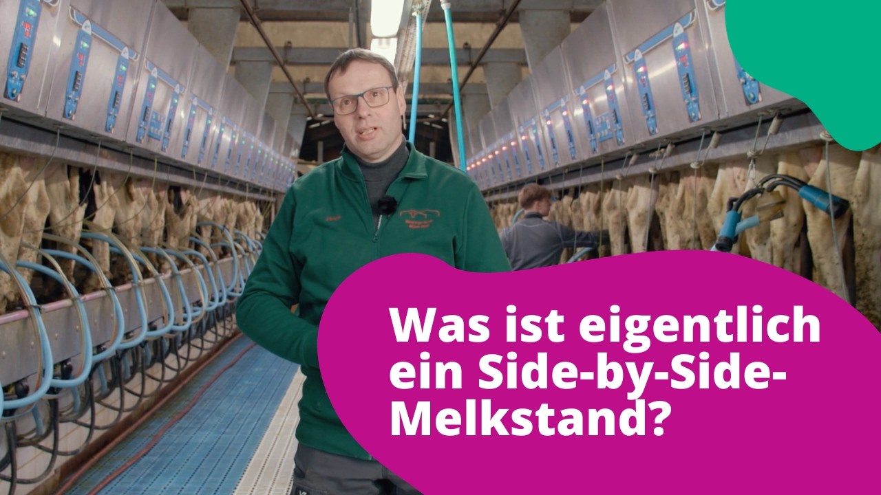 Der Side-by-Side Melkstand