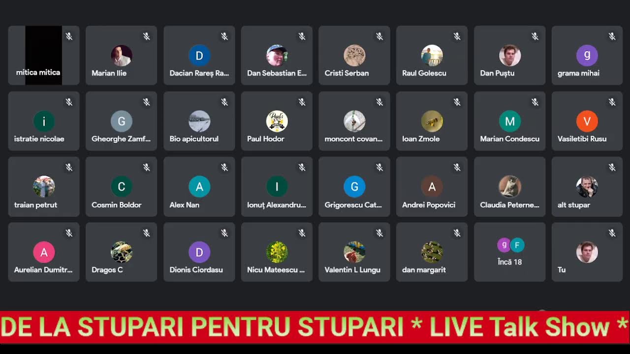 DE LA STUPARI PENTRU STUPARI * LIVE Talk Show * Matci