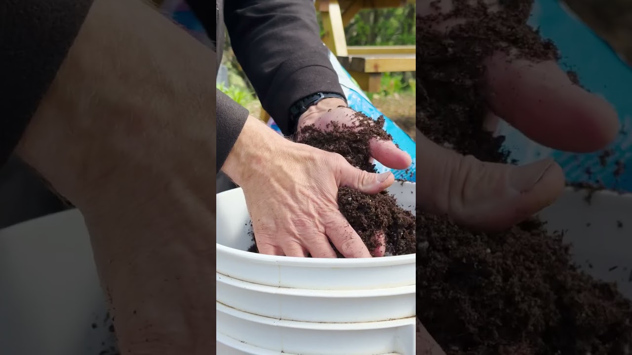 Why You Should STOP Using Peat Compost! ⚠️