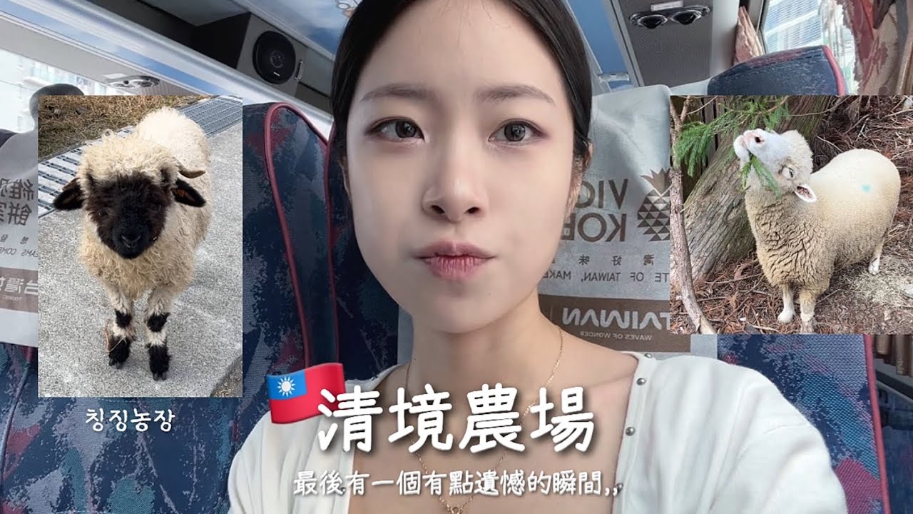 🇹🇼대만 난터우 칭징농장 혼자 여행 | 힐링 여행. 그치만 마지막에 예상 못한 상황으로,,