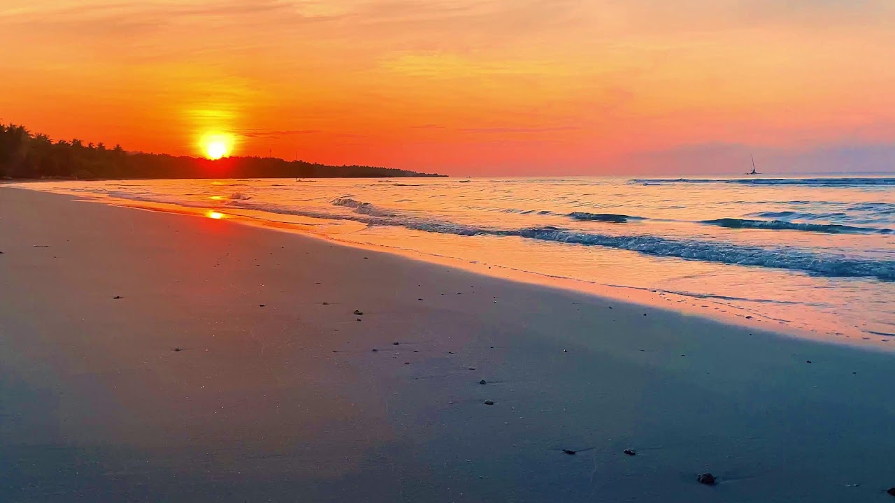 LIVE Infinite Ocean 🌊 24/7 Deep Wave ASMR for Sleep, Meditation & Calm Focus