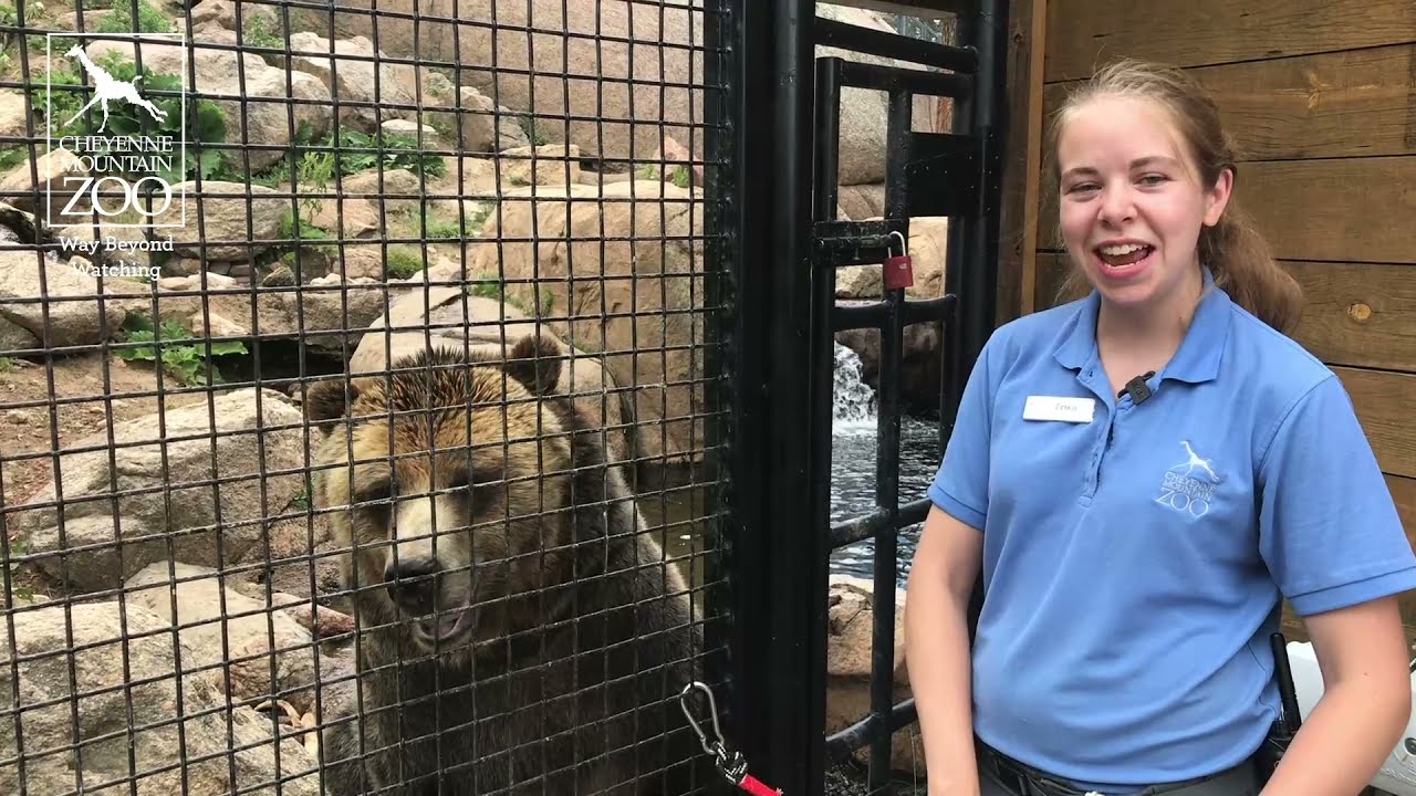 Emmet Toothbrush Training
