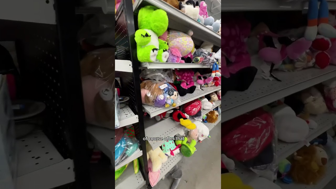 Disney Thrifting JACKPOT in Goodwill?! Mickey ears + Wishables!