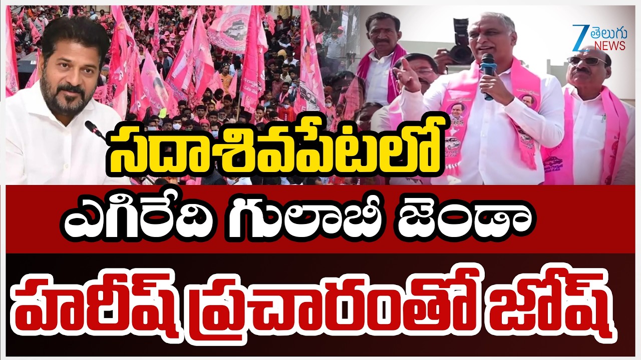 Harish Rao Municipal Election Campaign Live Updates | BRS | Sadasivapet | ZEE Telugu News