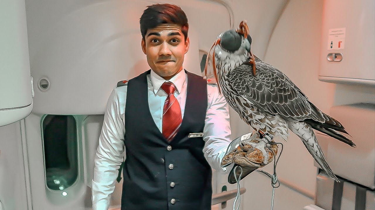 MY LIFE IN QATAR AIRWAYS