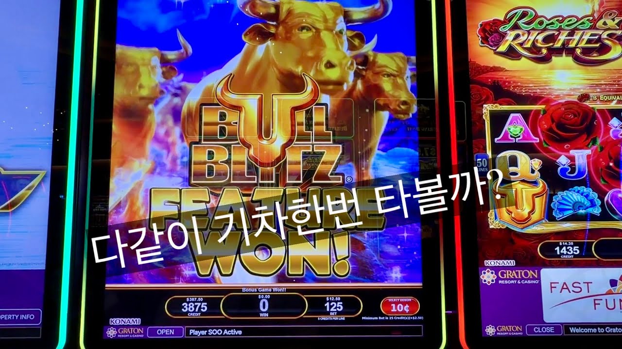샌프란시스코 카지노 슬롯머신,  날강도보다 무서운 돼단한 돼지저금통 보안요원들 조심하세요.  piggy bank, all aboard, bull blitz, dragon cash