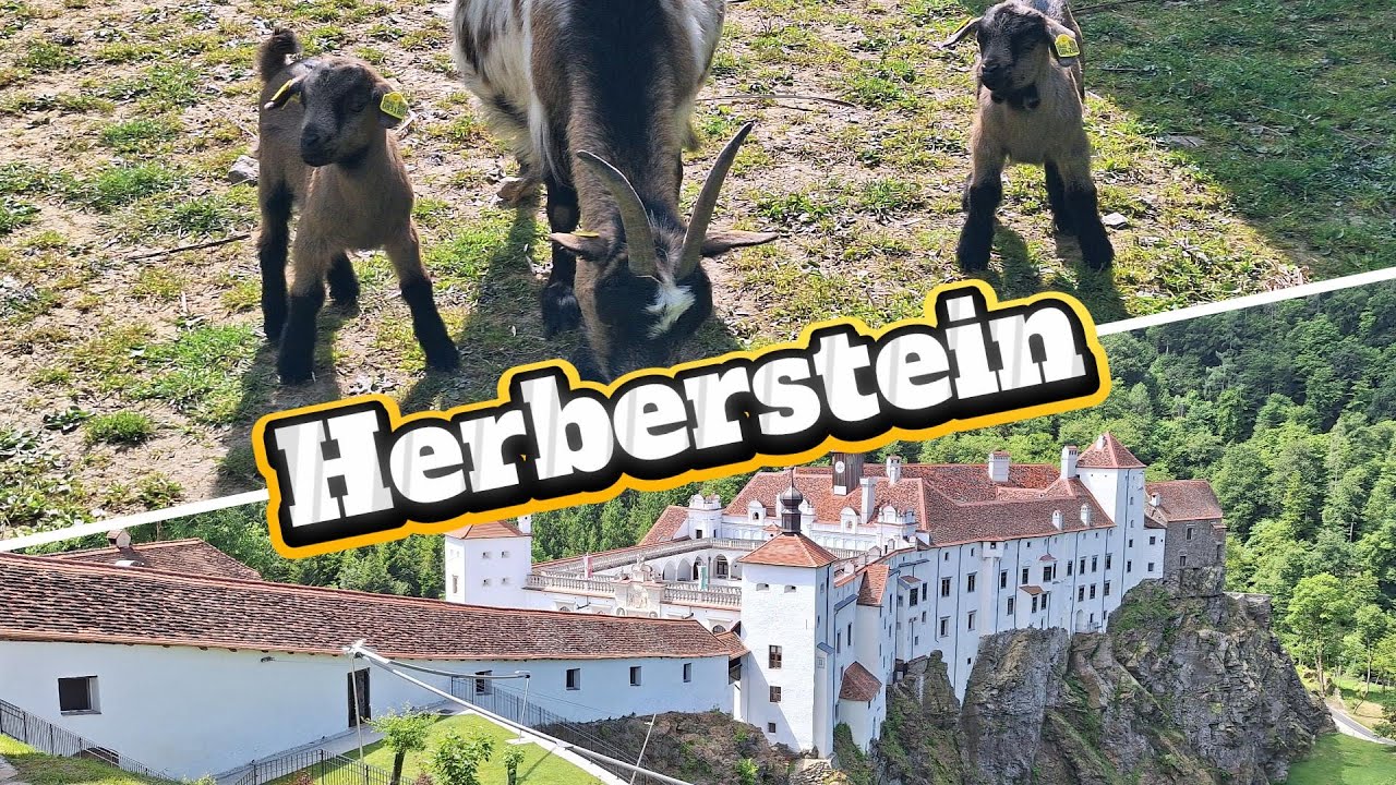 Herberstein Tierwelt/Historischer Garten/Schlossbesichtigung