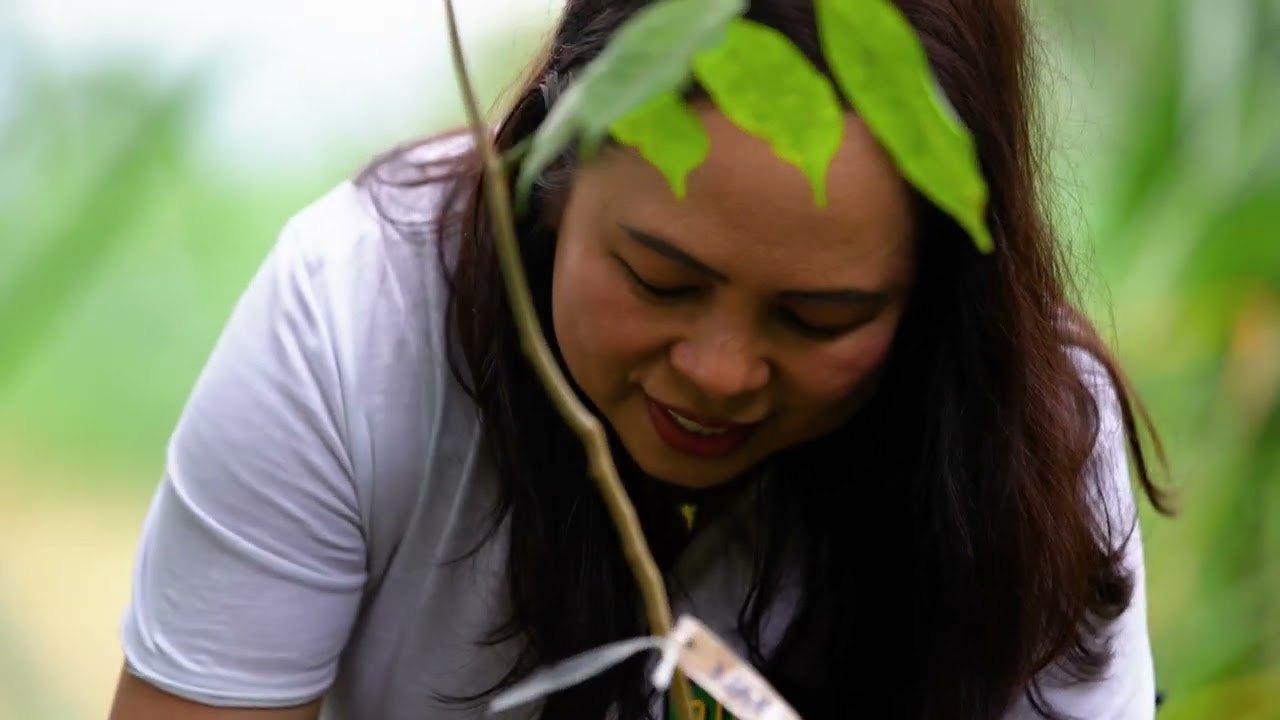 Ascott CARES in Action