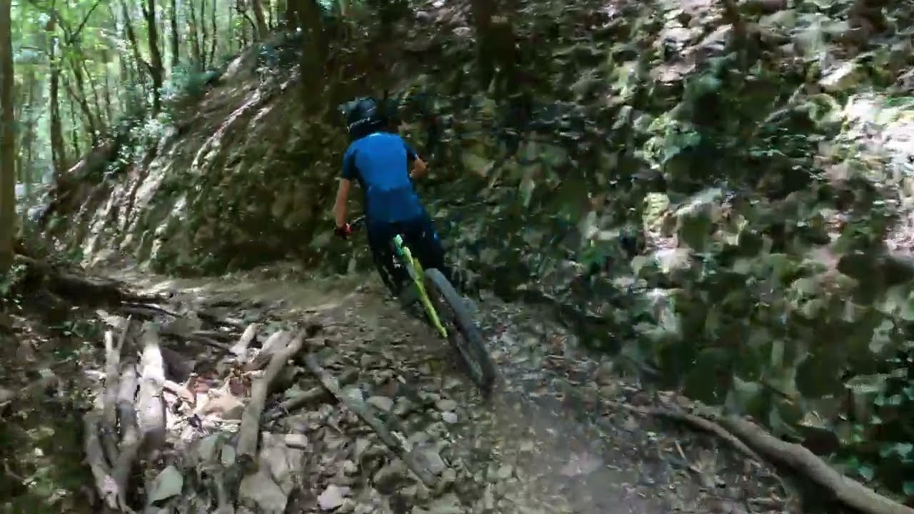 Trail 