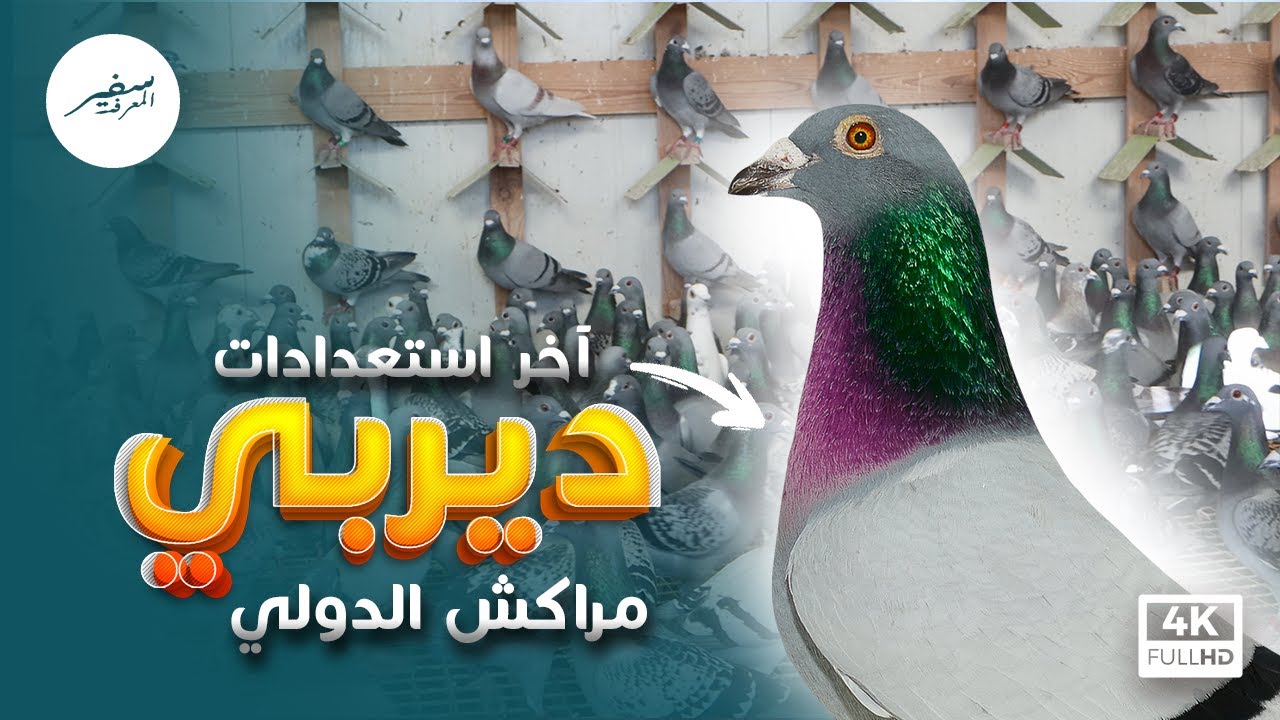 ديربي مراكش الدولي في نسخته الثالثة يقرب الصورة لمنخرطيه الأوفياء