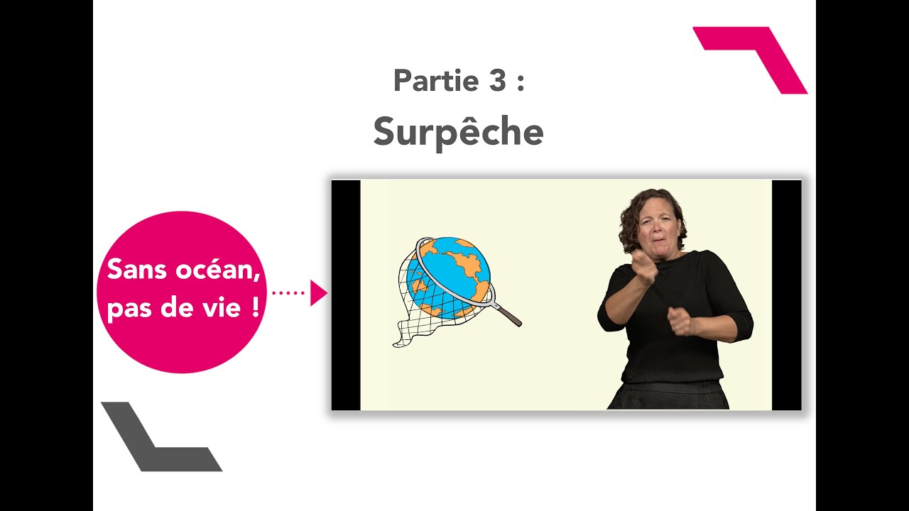 Sans océan, pas de vie ! Partie 3 : Surpêche