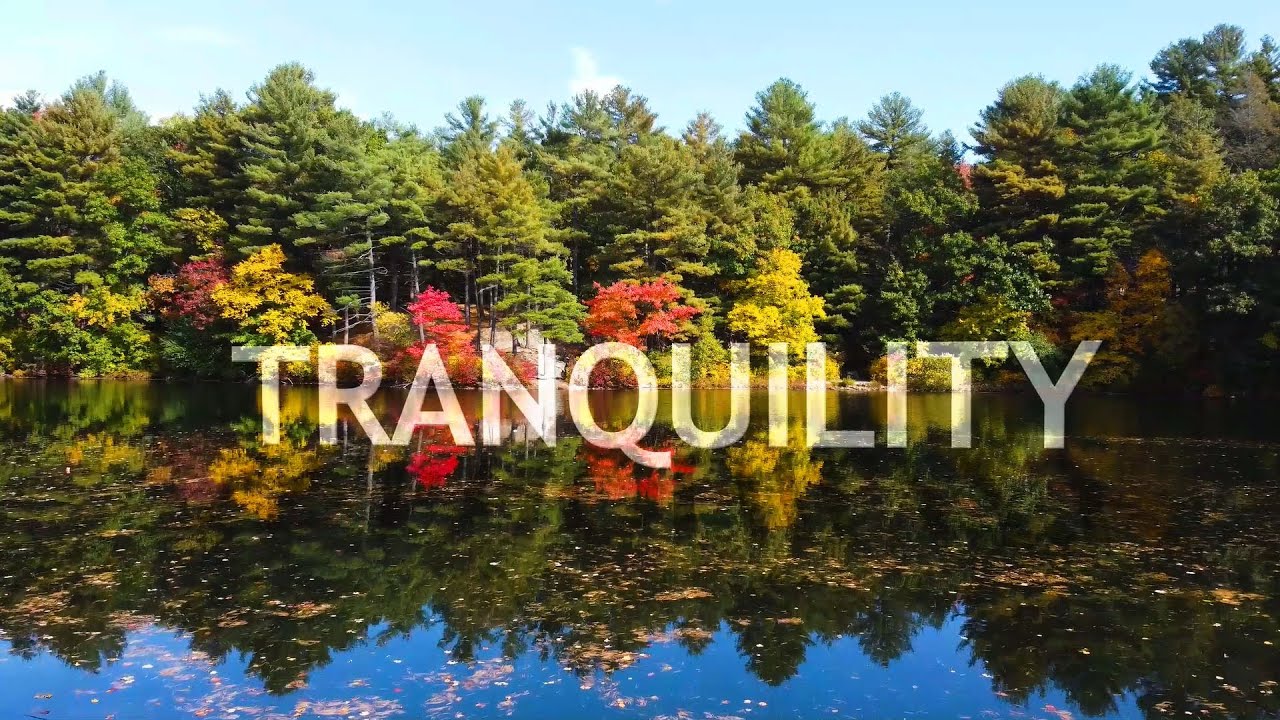 DJI Mini: Tranquility